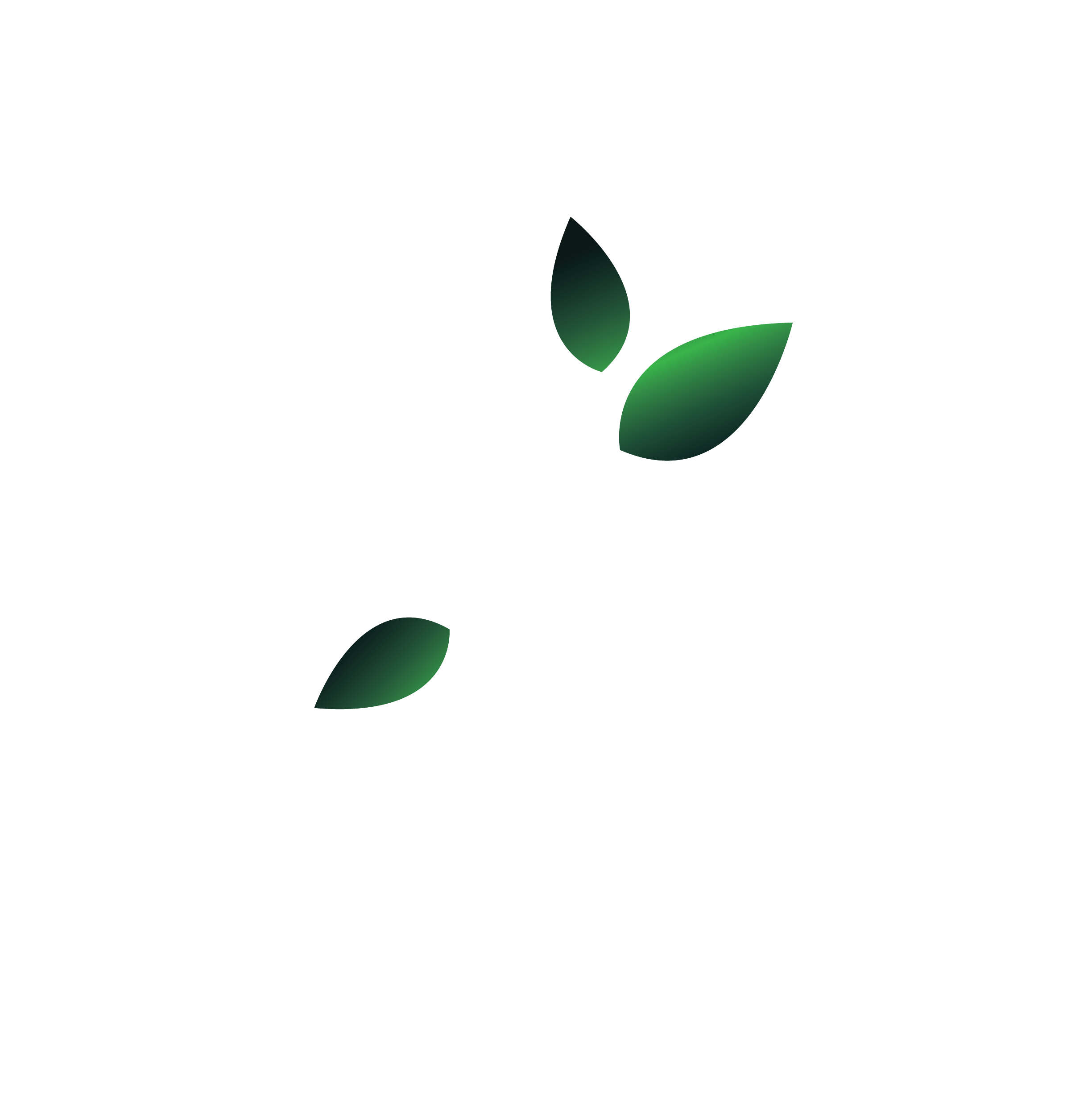 ATOM Group